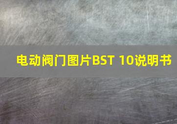 电动阀门图片BST 10说明书